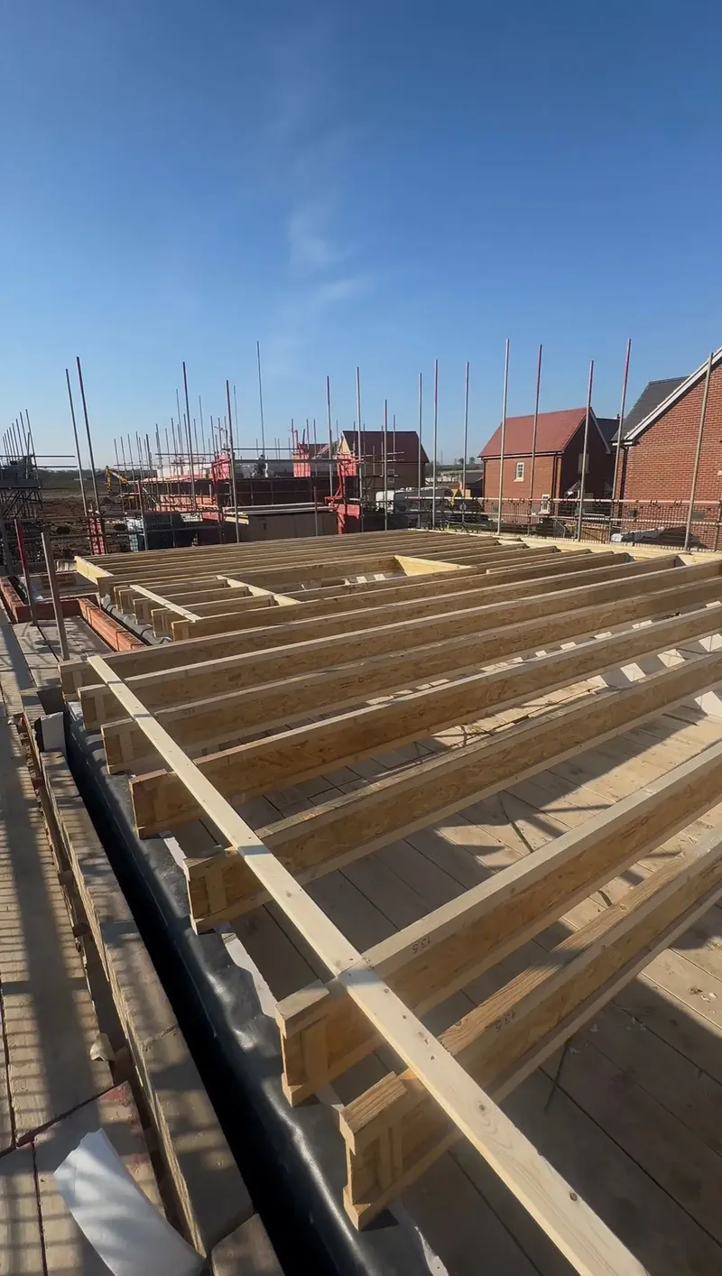 Structural floor joists with scaffolding