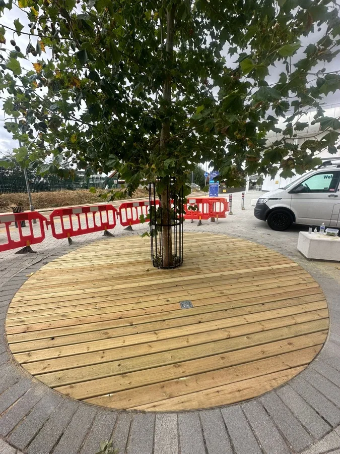 Circular Tree-Surround Decking — photo 2