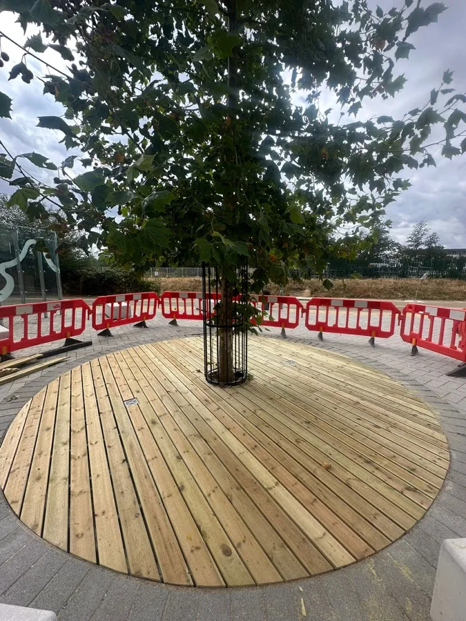 Circular Tree-Surround Decking — photo 1
