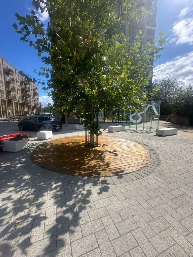 Circular Tree-Surround Decking — photo 5