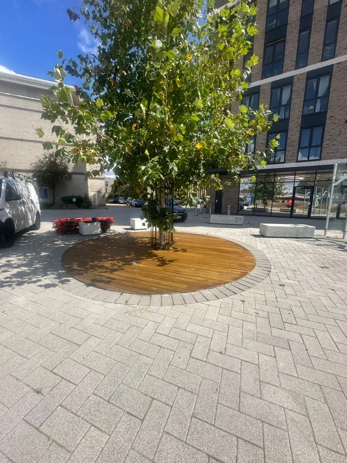 Circular Tree-Surround Decking