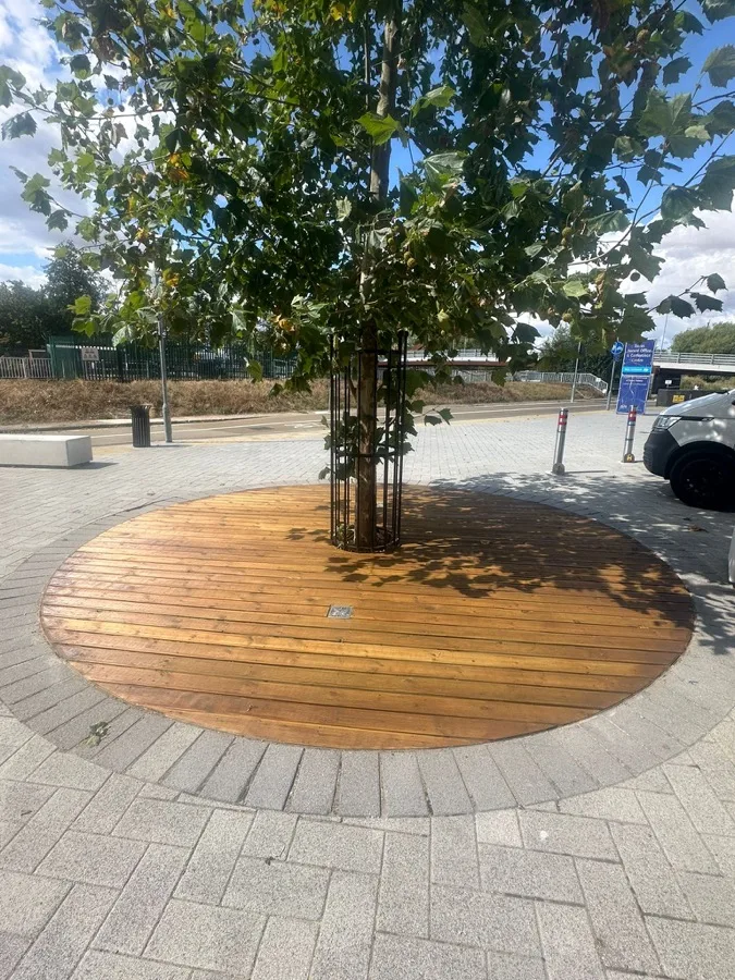 Circular Tree-Surround Decking — photo 4
